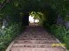 s100_3293.jpg