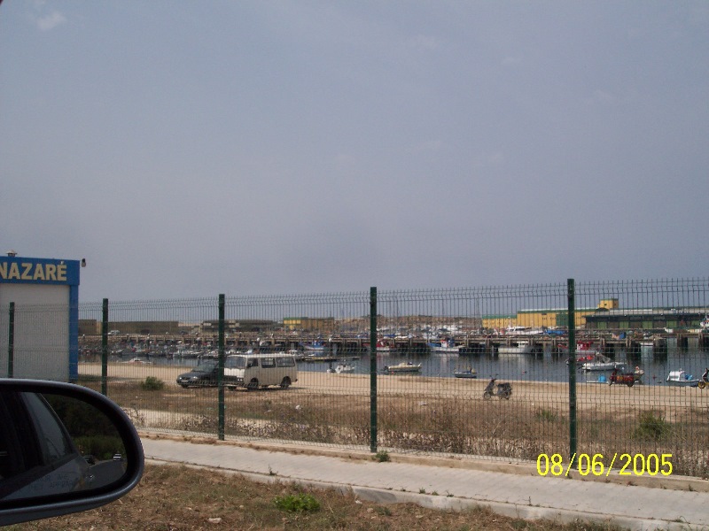 s-100_3353.jpg