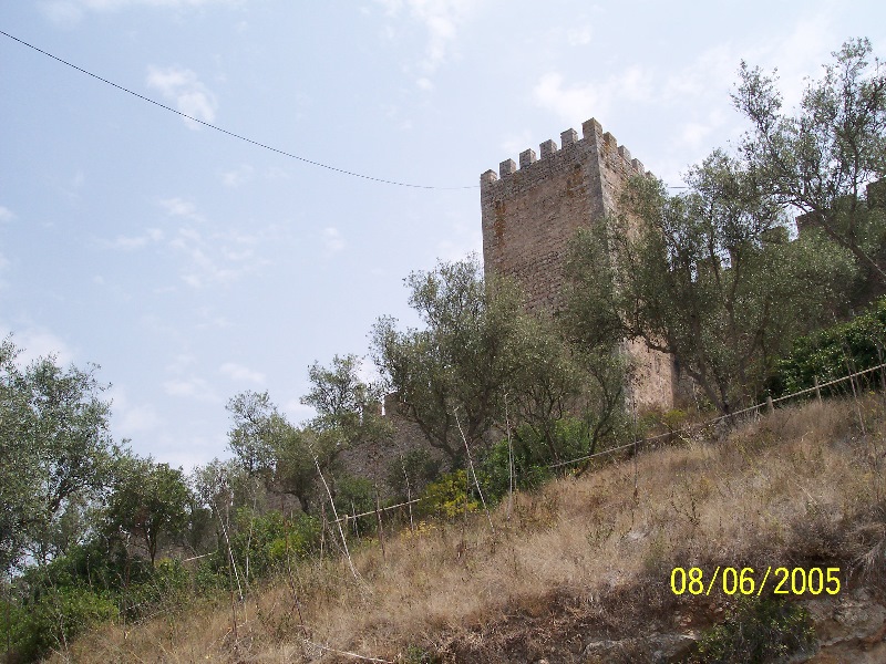 s-100_3360.jpg