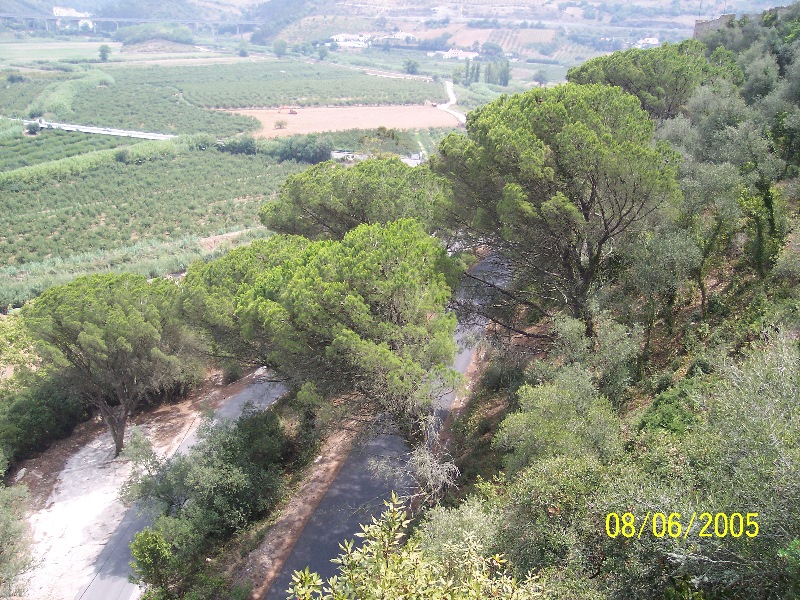 s-100_3382.jpg