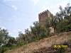 s100_3360.jpg