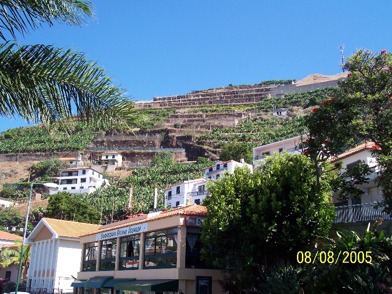 s-100_3449.jpg