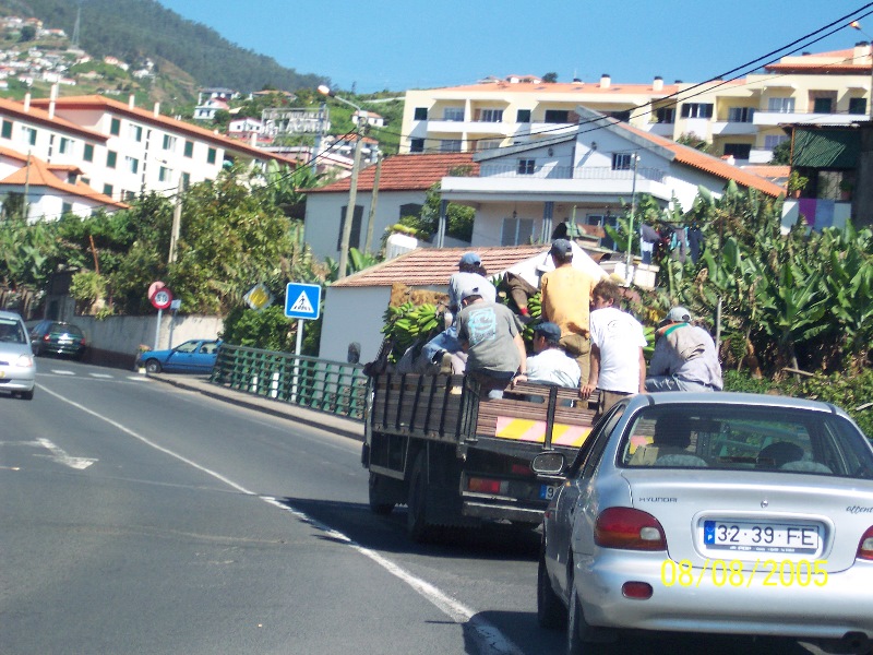 s-100_3455.jpg