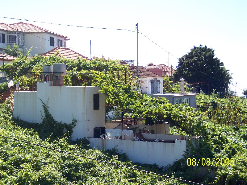 s-100_3469.jpg
