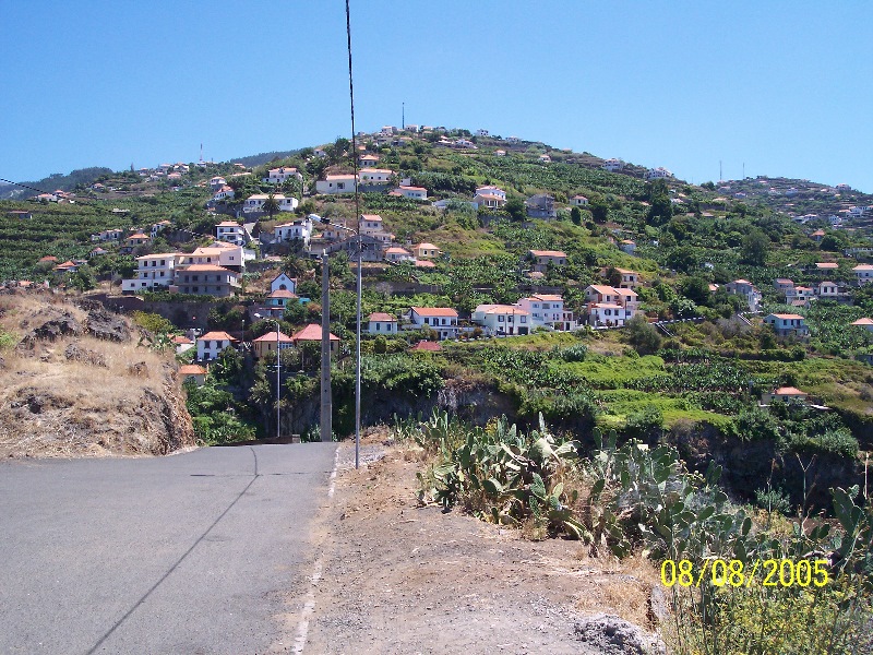 s-100_3499.jpg