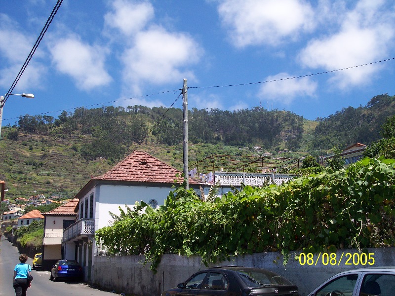 s-100_3536.jpg
