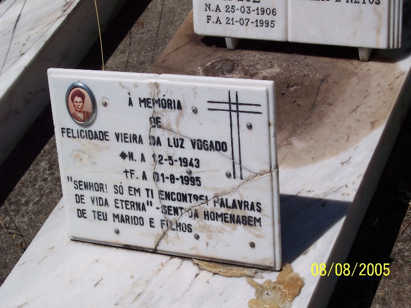 s-100_3545.jpg