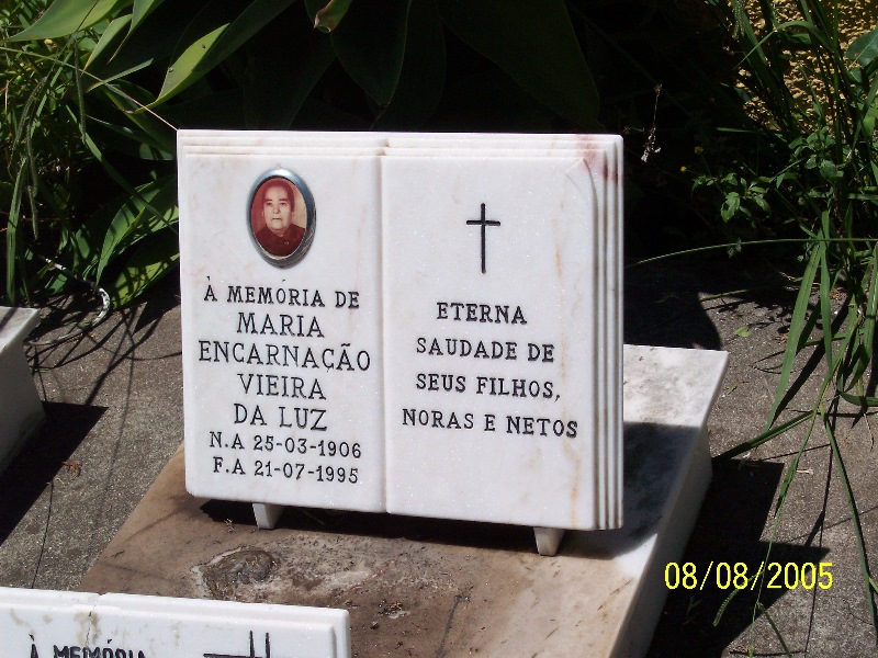 s-100_3546.jpg