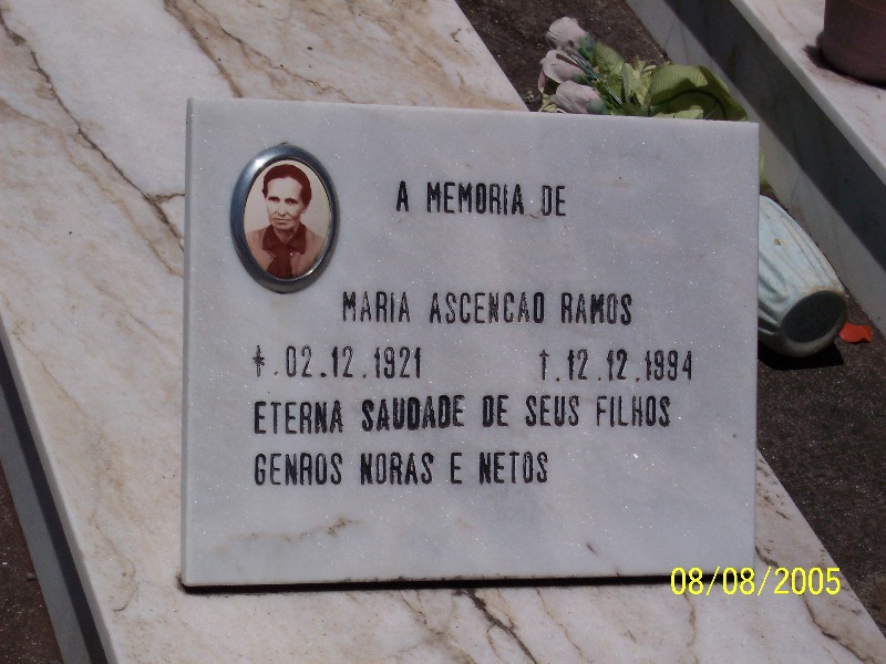s-100_3547.jpg