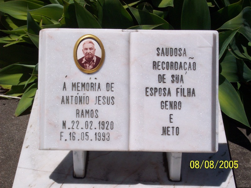 s-100_3548.jpg