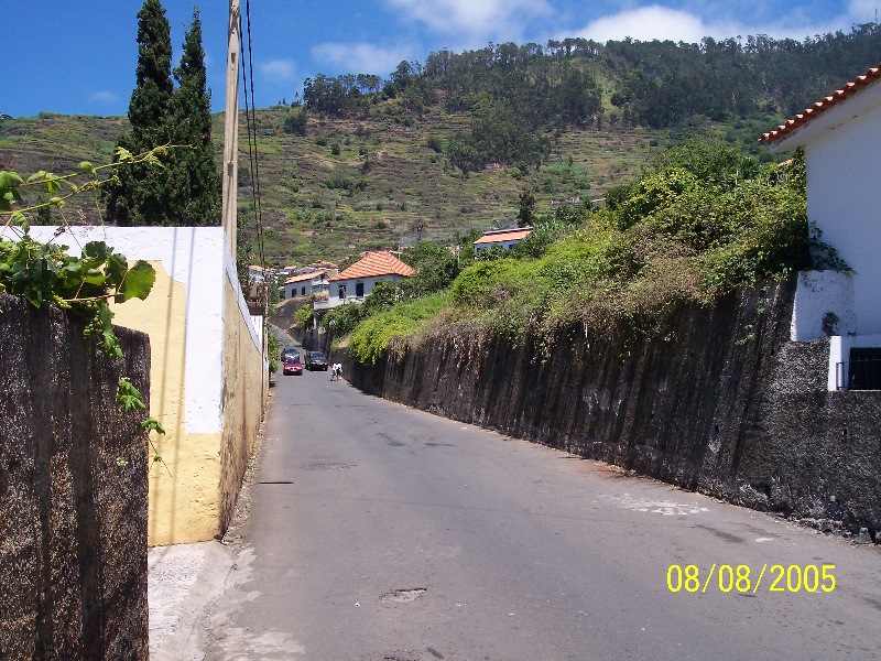 s-100_3556.jpg