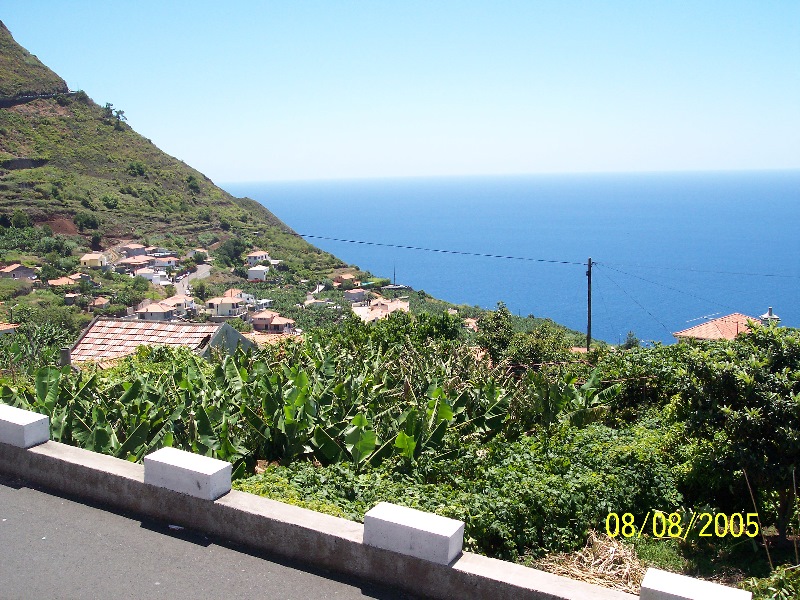 s-100_3559.jpg