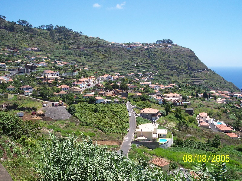 s-100_3565.jpg