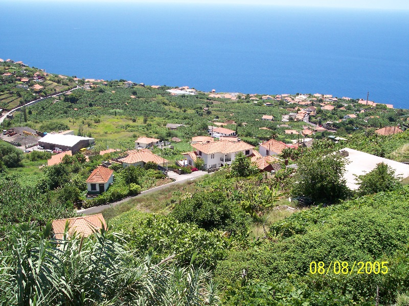 s-100_3567.jpg