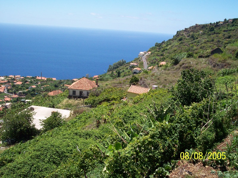 s-100_3568.jpg