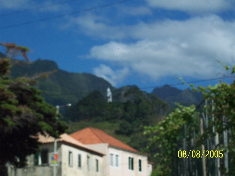 s-100_3647.jpg