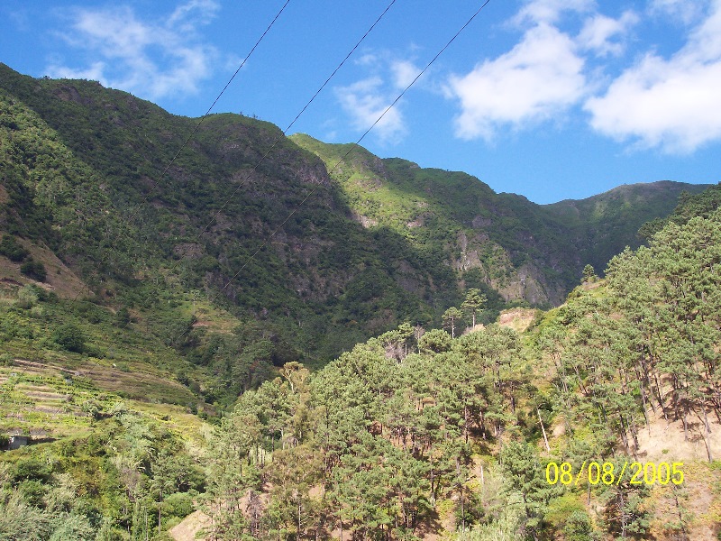 s-100_3654.jpg