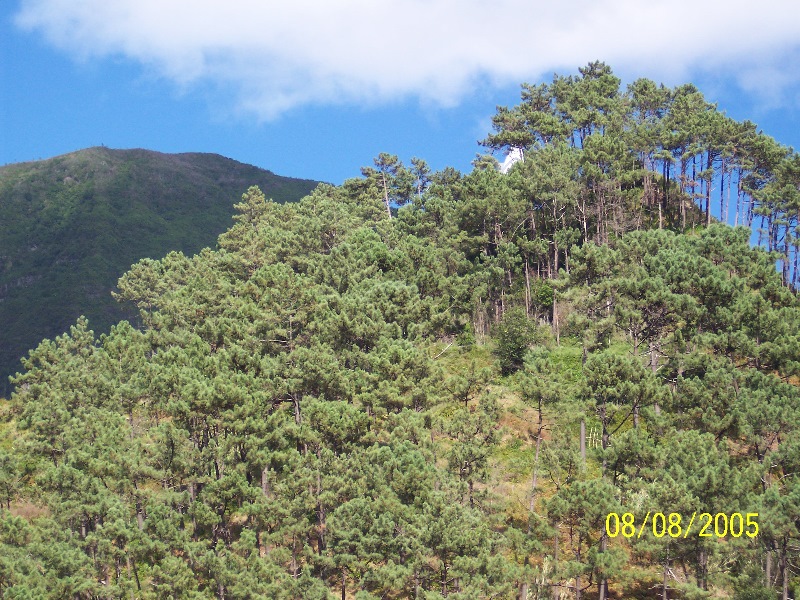s-100_3655.jpg