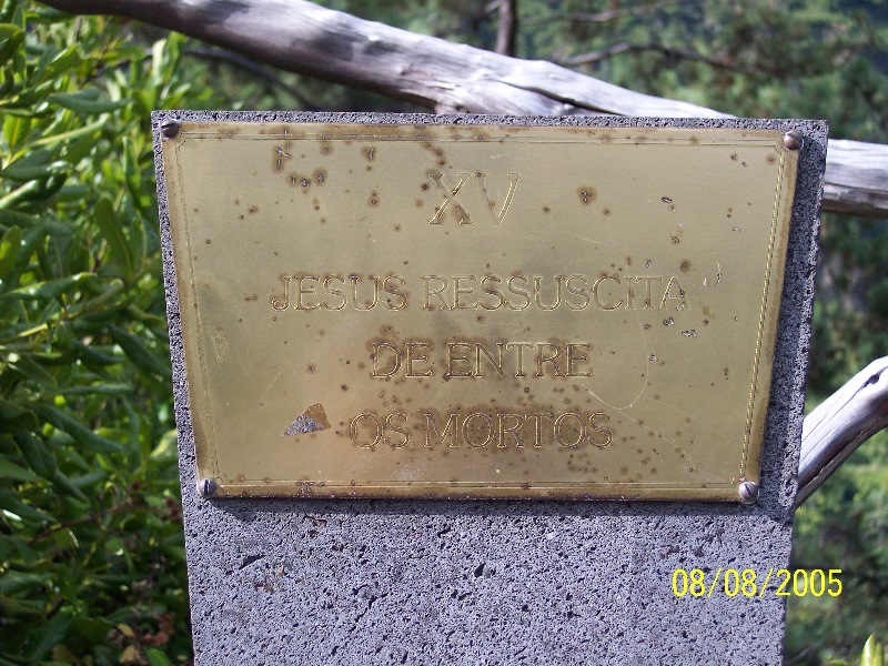 s-100_3662.jpg