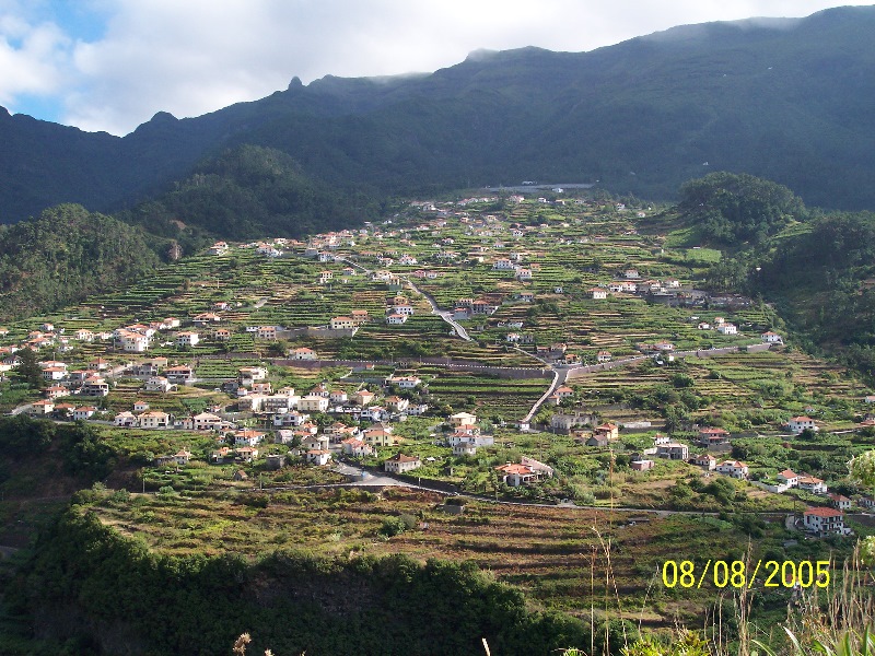 s-100_3665.jpg