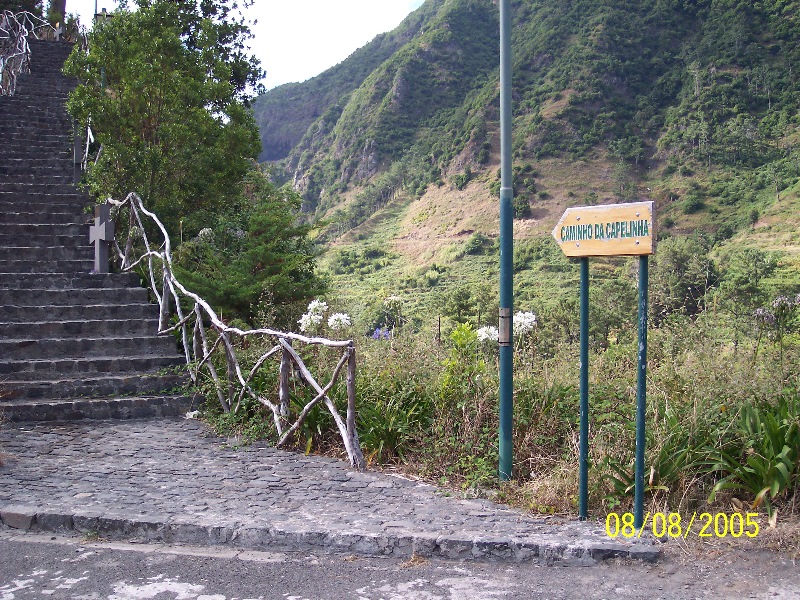 s-100_3668.jpg
