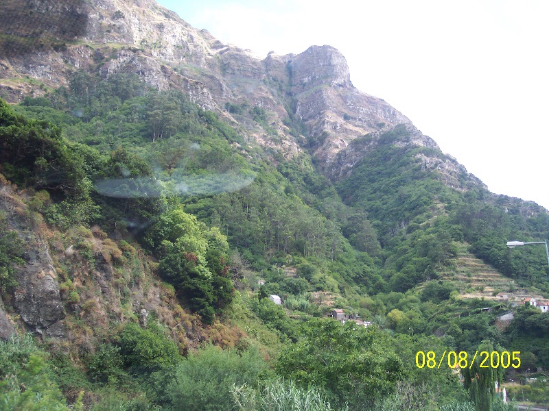 s-100_3669.jpg