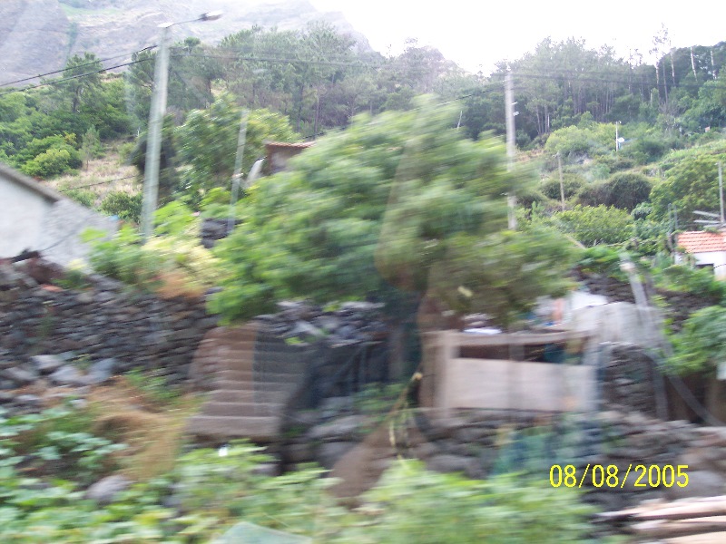 s-100_3671.jpg