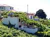 s100_3469.jpg