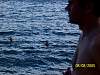 s100_3679.jpg