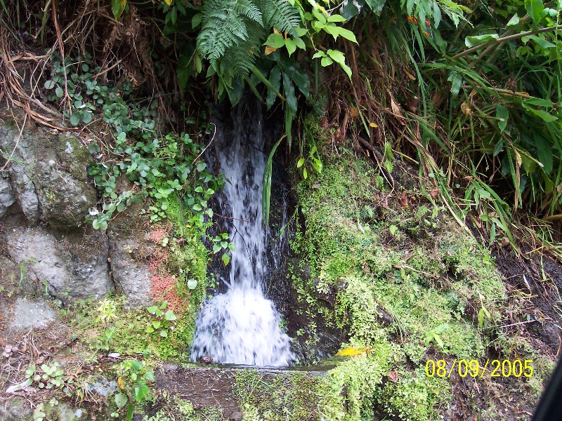s-100_3707.jpg