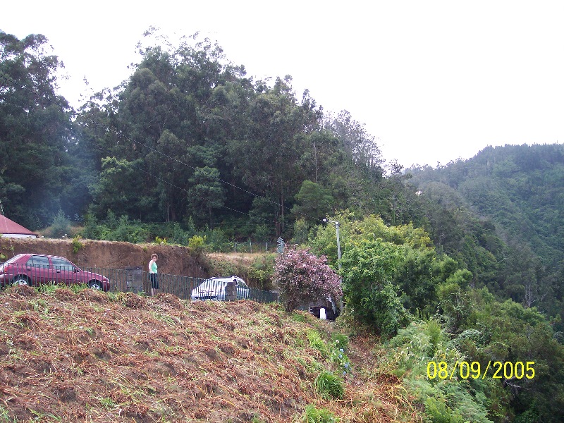 s-100_3712.jpg