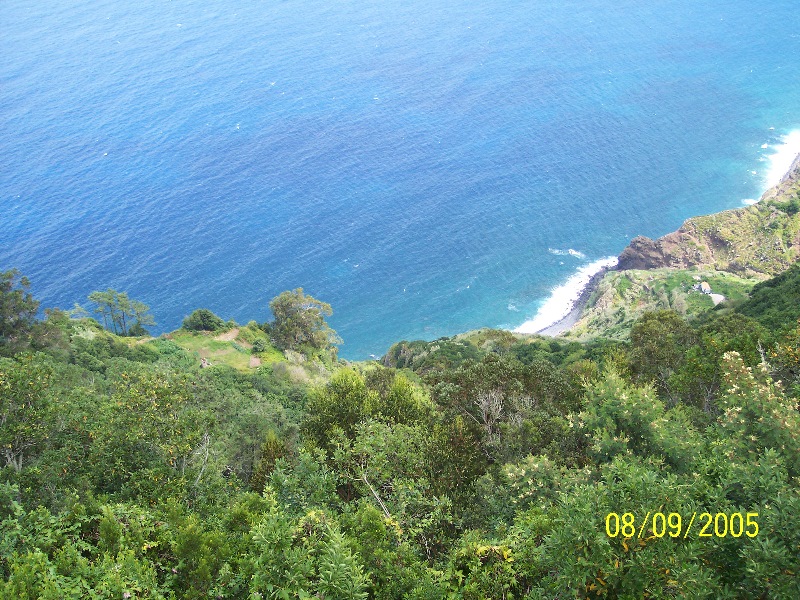 s-100_3713.jpg
