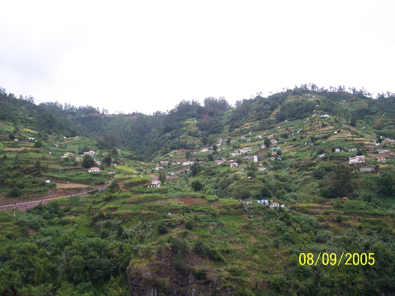 s-100_3727.jpg