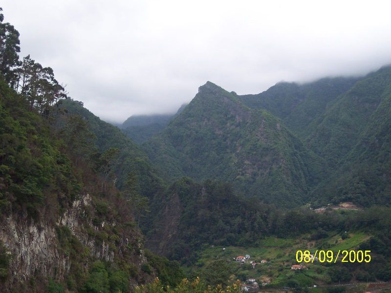 s-100_3733.jpg