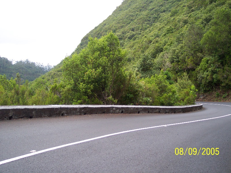 s-100_3734.jpg