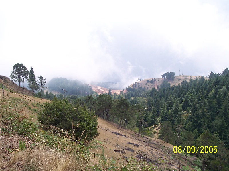 s-100_3740.jpg