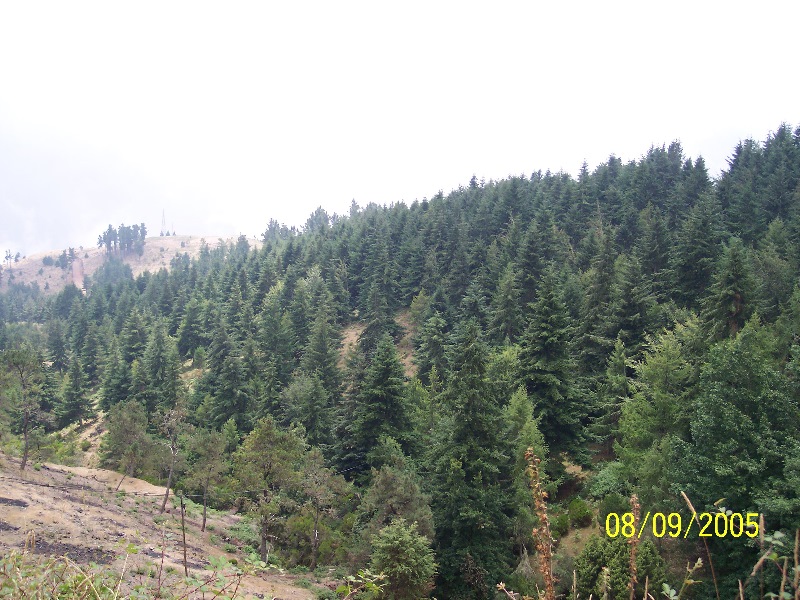 s-100_3741.jpg