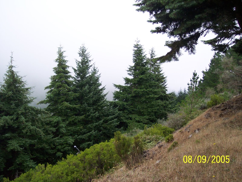 s-100_3743.jpg