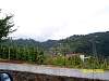 s100_3726.jpg