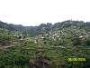 s100_3727.jpg