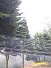 s100_3745.jpg