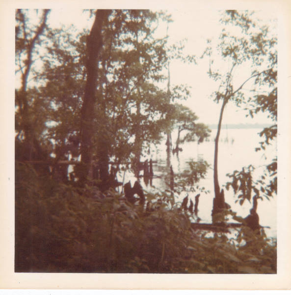 s-Wayne_Old-032.jpg