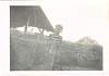swayne_old013.jpg